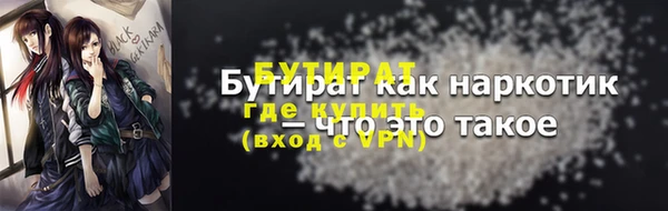 гашик Алексин