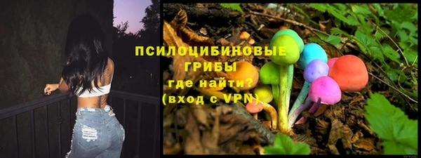 PSILOCYBIN Алексеевка