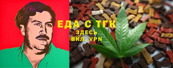гашик Алексин