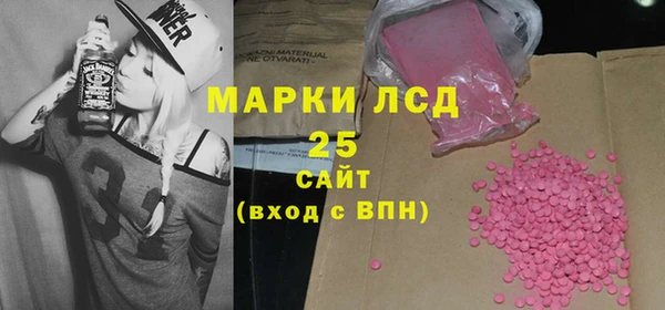 гашик Алексин